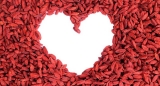 Os 10 Maiores Benefícios da Goji Berry